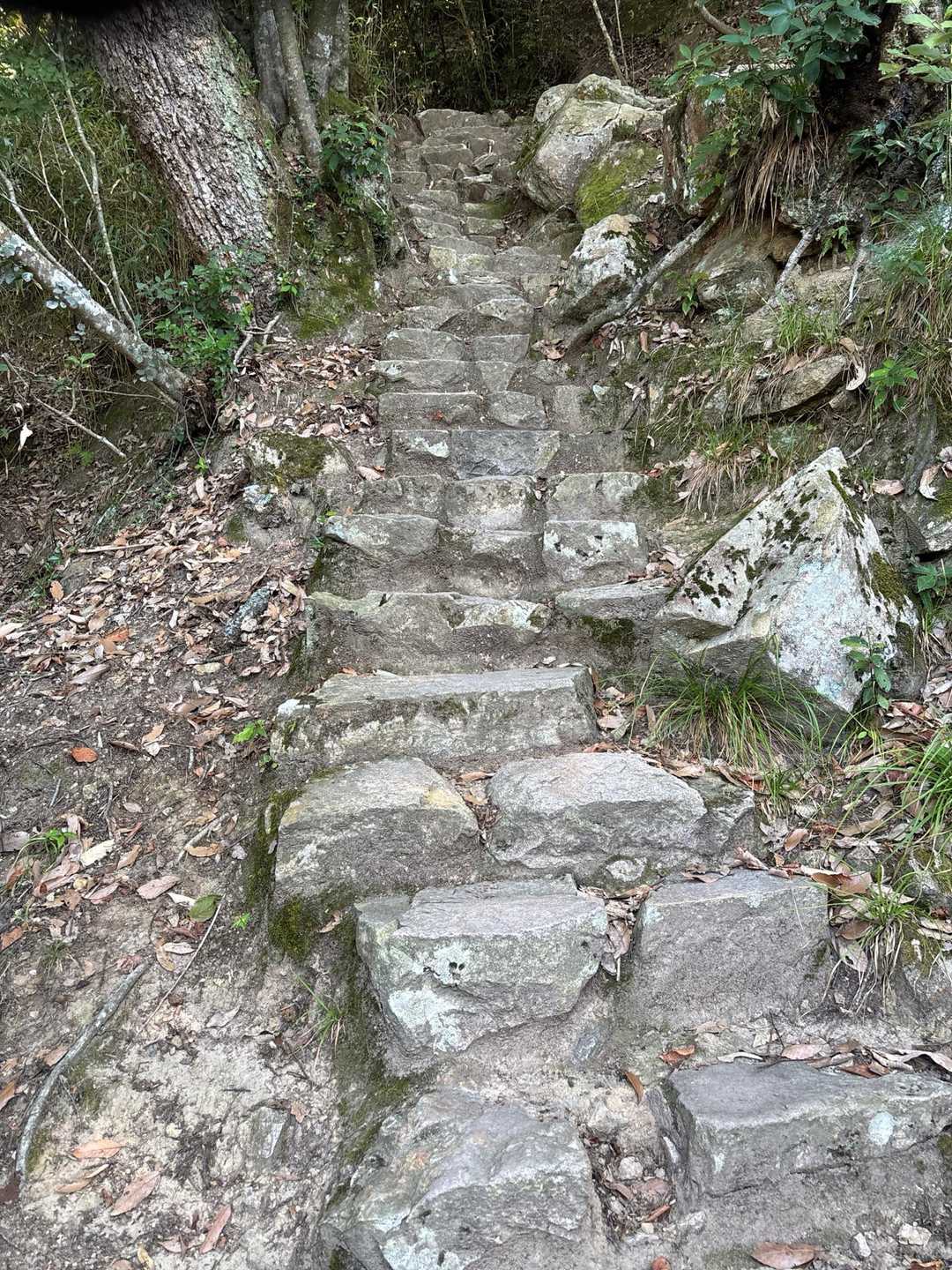 自然石で整備されている👊