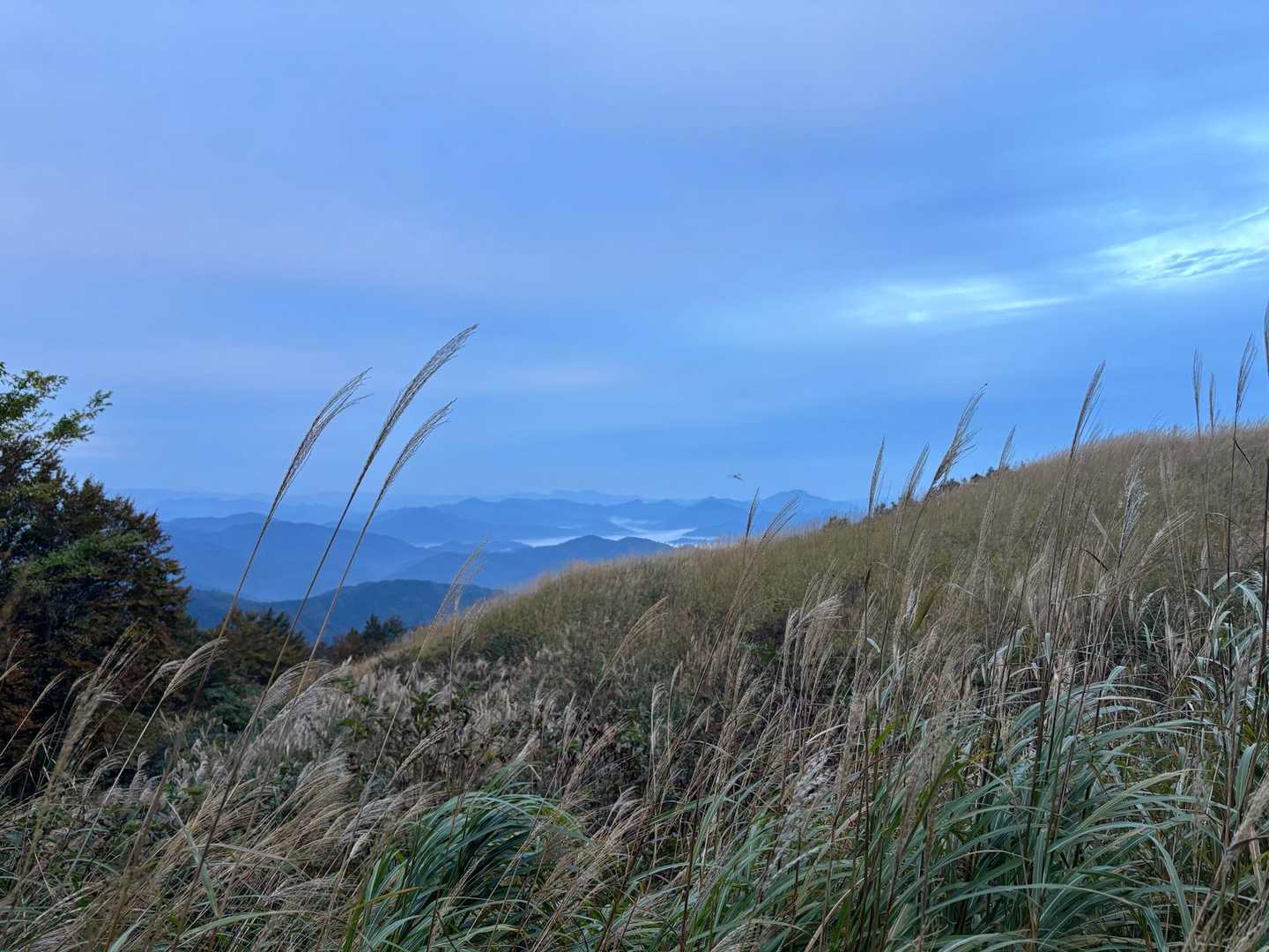 歩き出すとすぐに🌾ススキがお出迎えしてくれました。☺️
