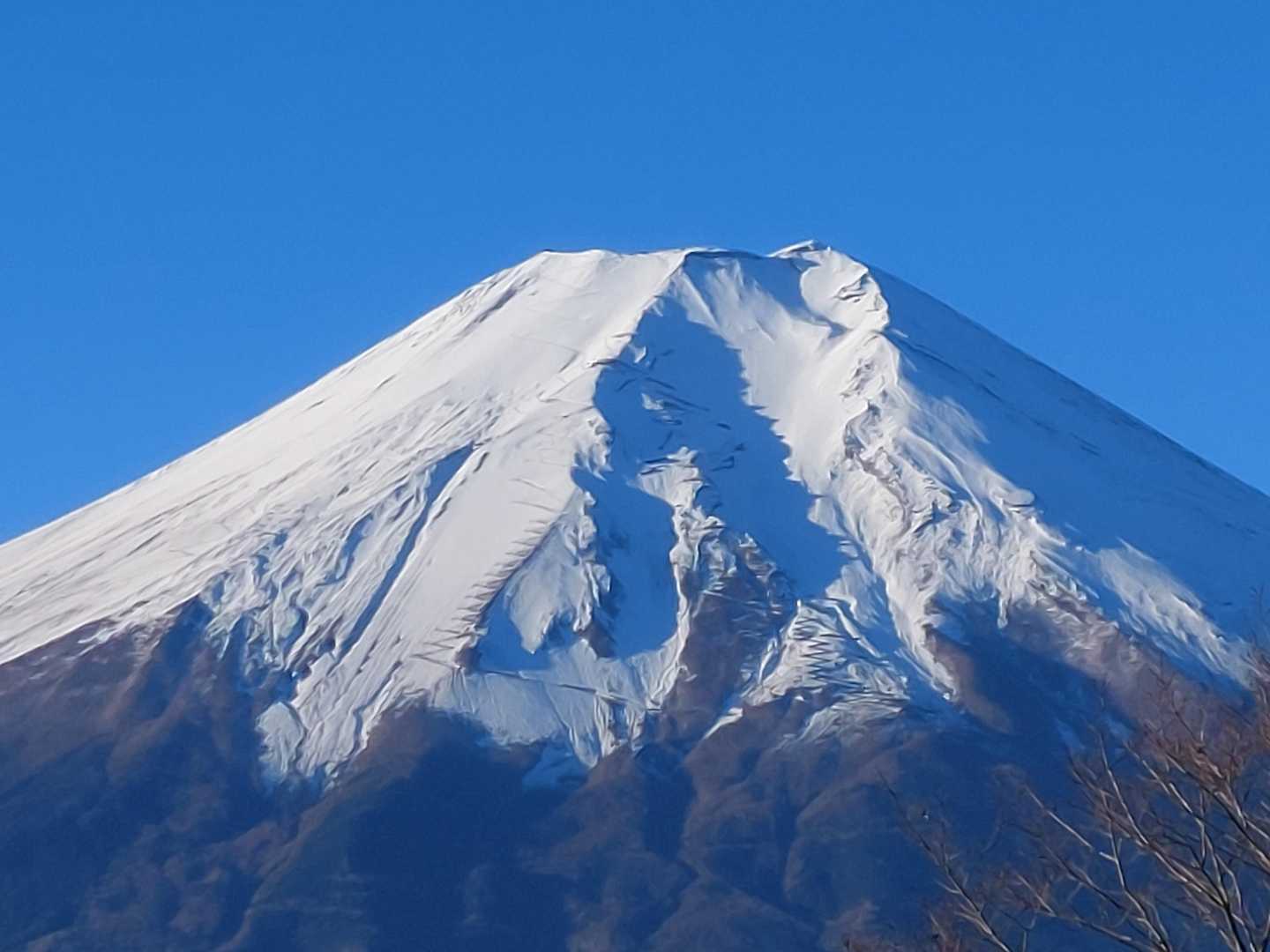 鳥居地峠-高座山-大権首峠-杓子山 周回コースの写真