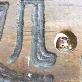 どんぐりトトロ🫣