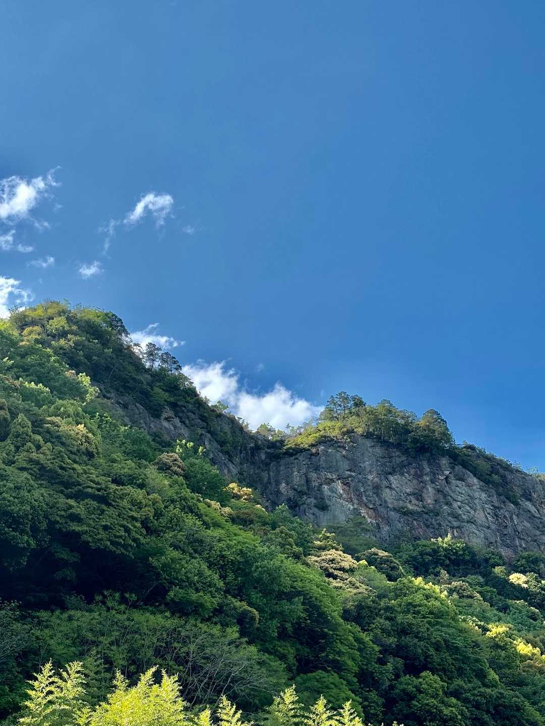 下から見ると格好良いお山です。