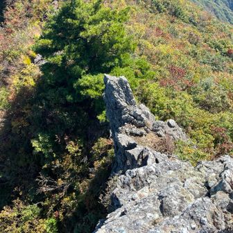 猫岩の鈴の首輪を確認