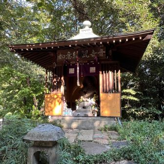 この辺が山頂