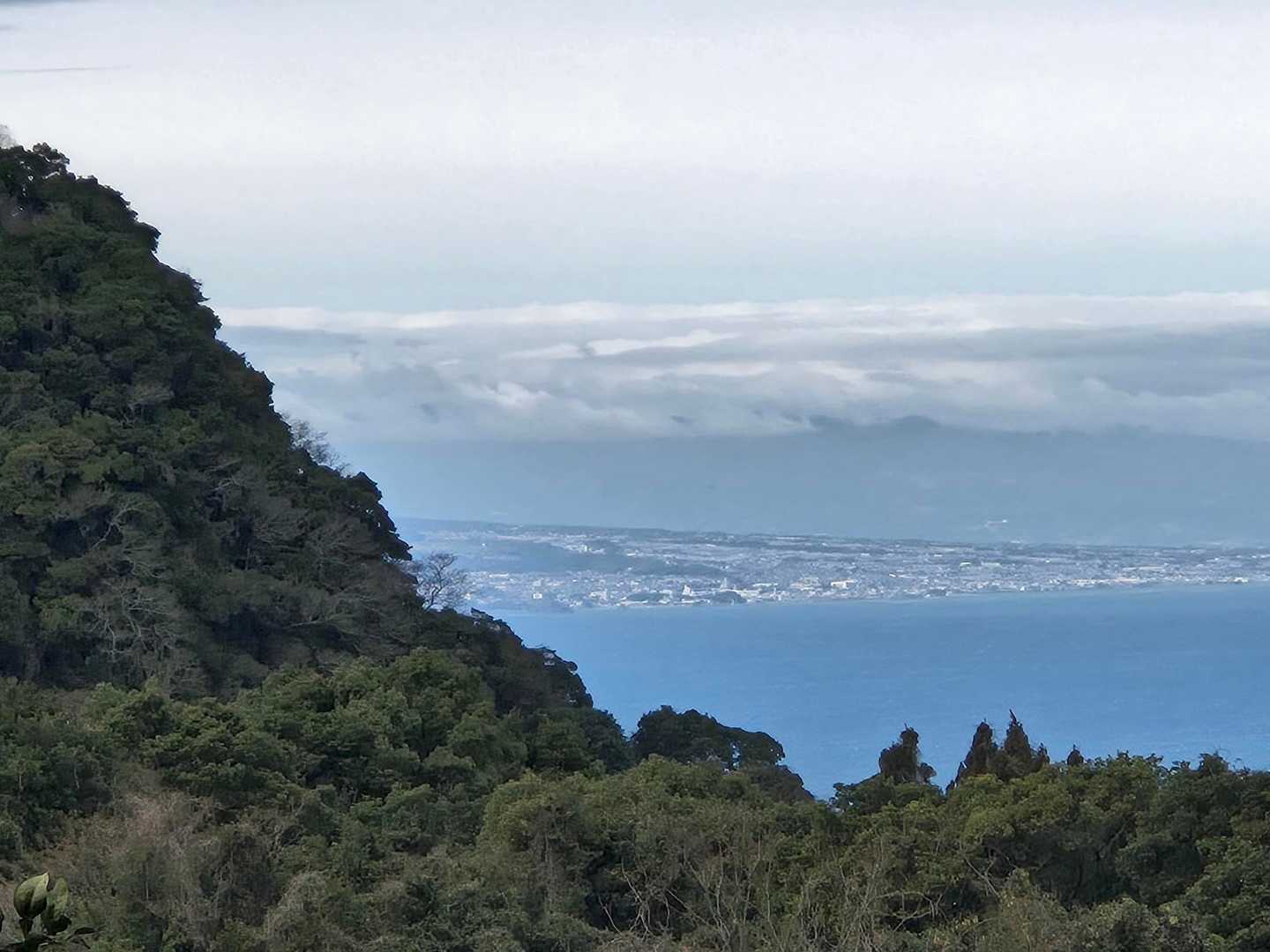 天草が見えてる😃