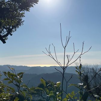 帰り道には太平洋も見えたよ🎵