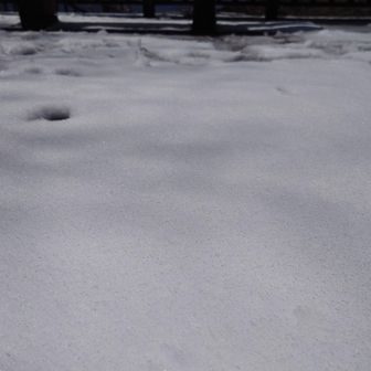 金剛山・二上山・大和葛城山 溶け始めてサクサクの雪❄