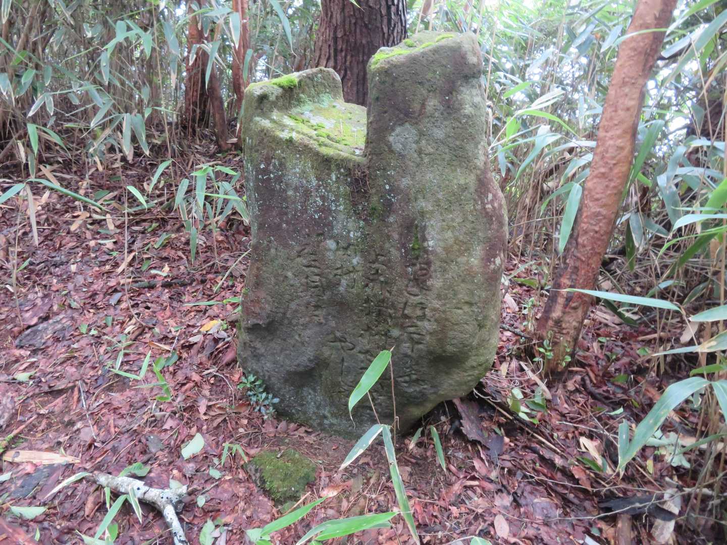 高城岳-三郎岳 周回コースの写真