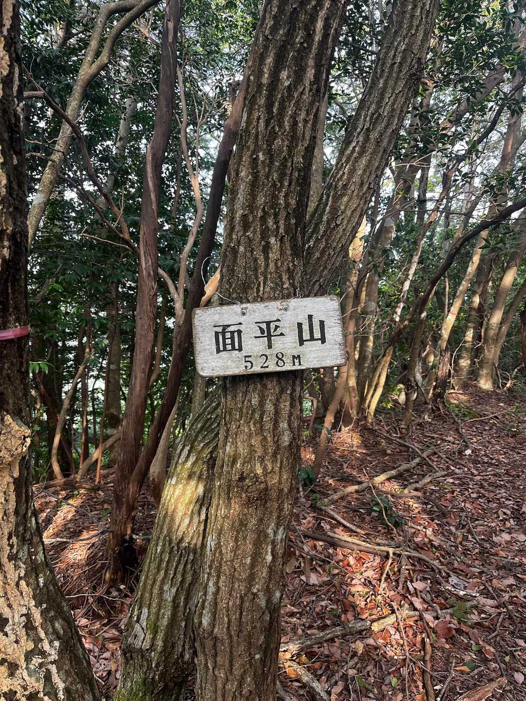 更に進むと面平山山頂到着。
展望無し。