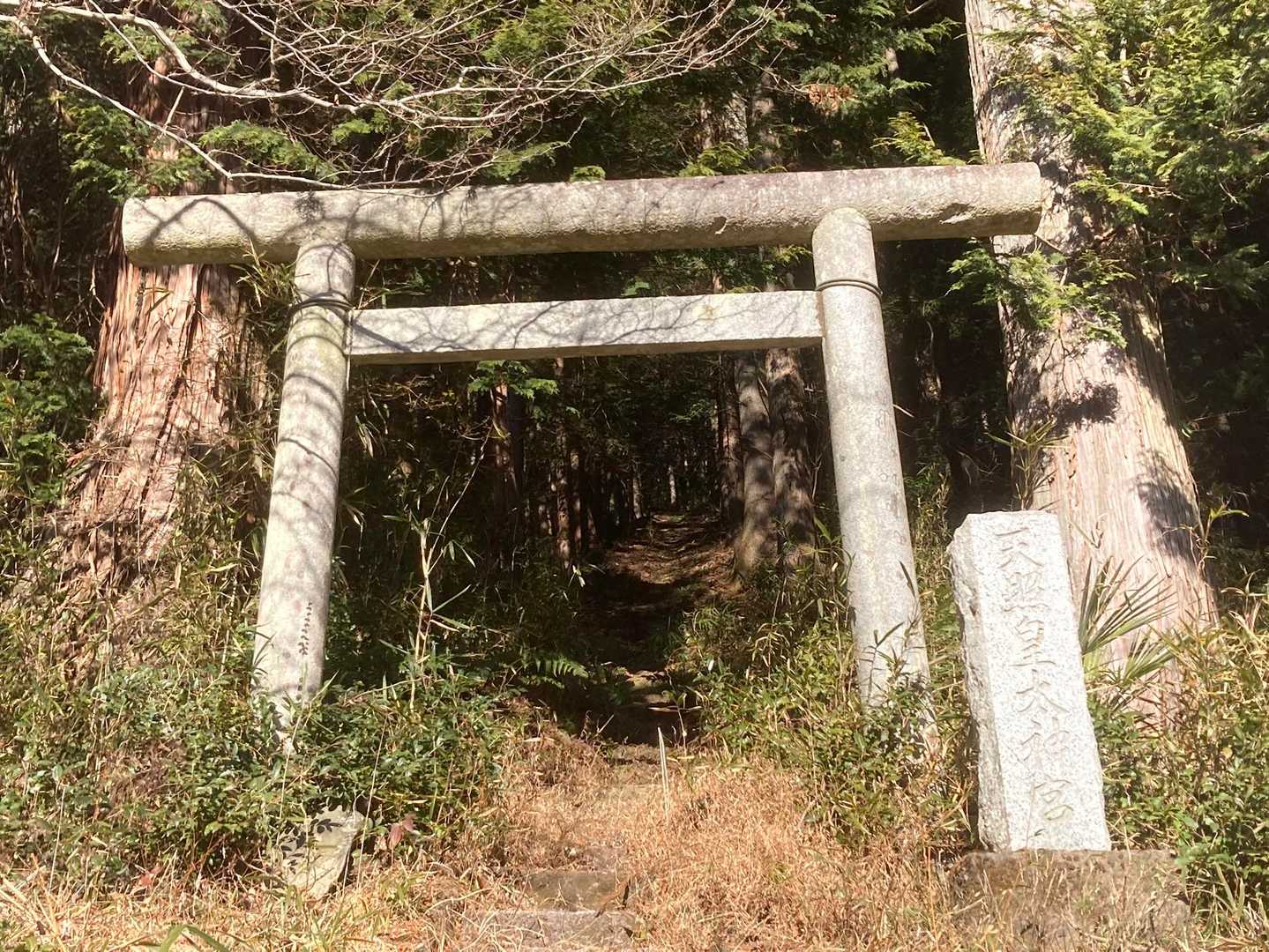 こちらも🙏
