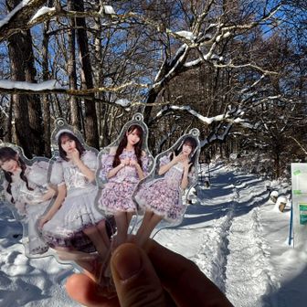 10:00
推しメンちゃん
戦場ヶ原散策するお