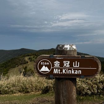今回も敗北やな。
あとは道中を期待。