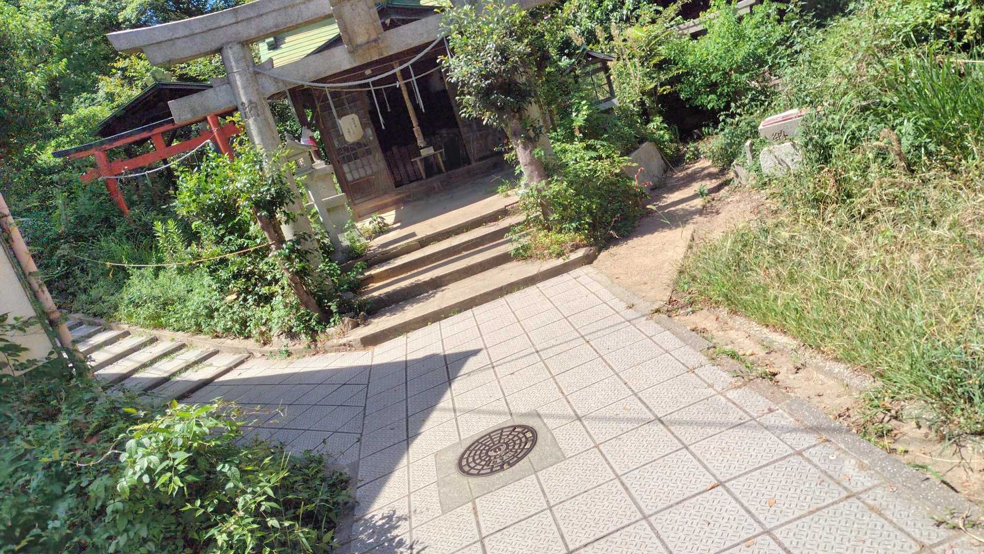 真っ直ぐ撮ったつもりが疲れてたんかな💦