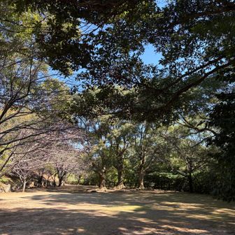 広い公園？が沢山