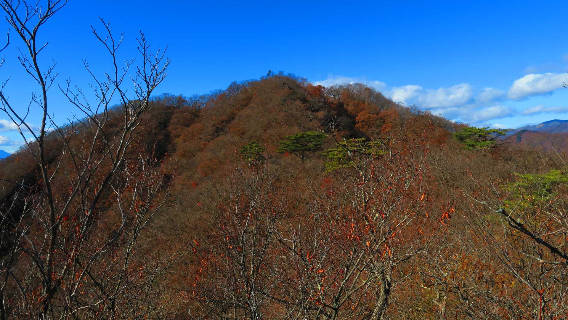高田山ロックオン