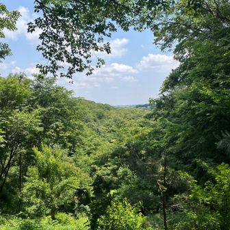 見晴らし広場からの眺望