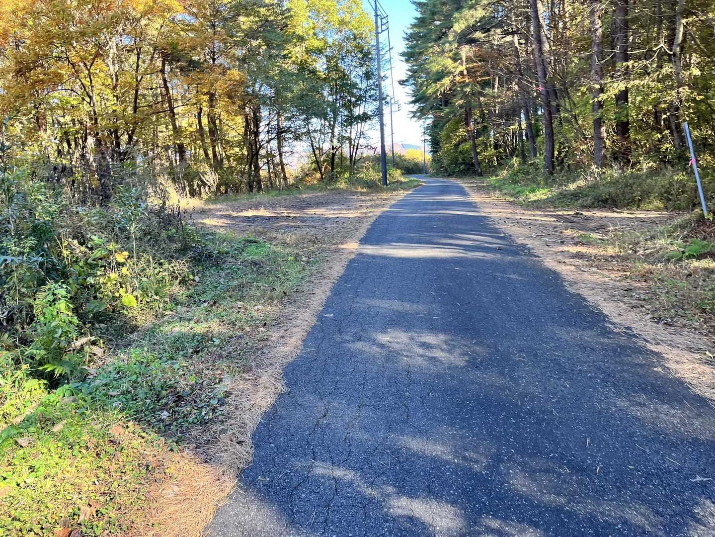 暗い林道から舗装路に出ました。