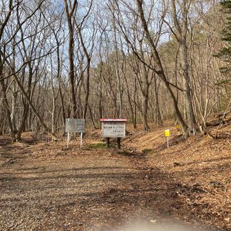 すっかり解けちゃってます❄️