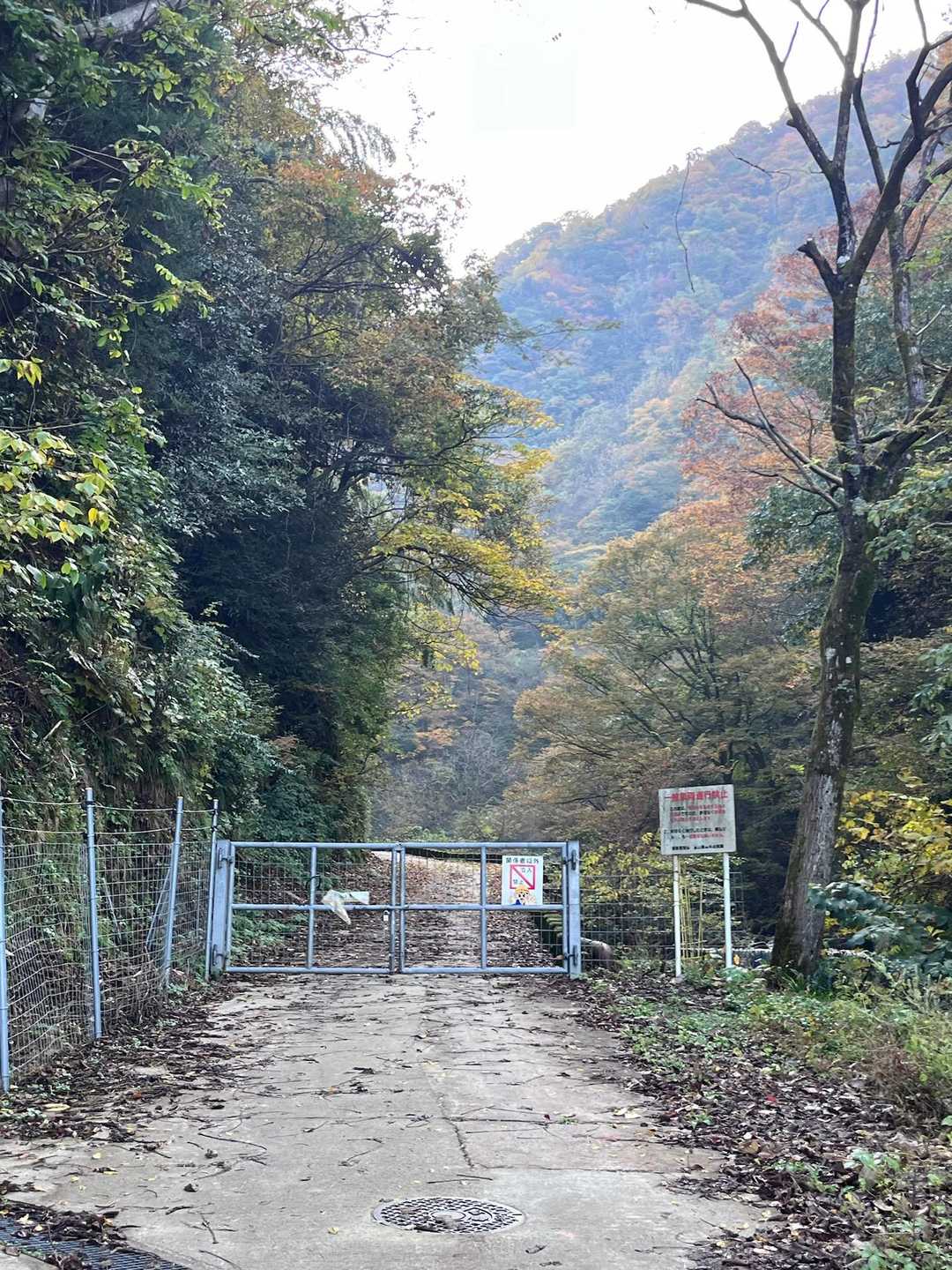 右側から入れます