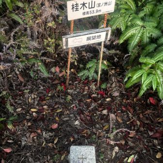 桂木山山頂　三角点