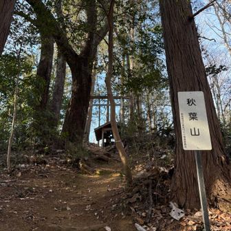 人間おい居ない秋葉山やば　気合い無いイオン源に（回文）