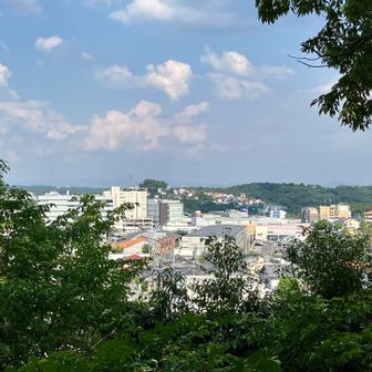 【親鸞山 山頂】
愛知淑徳大・竹の山方面