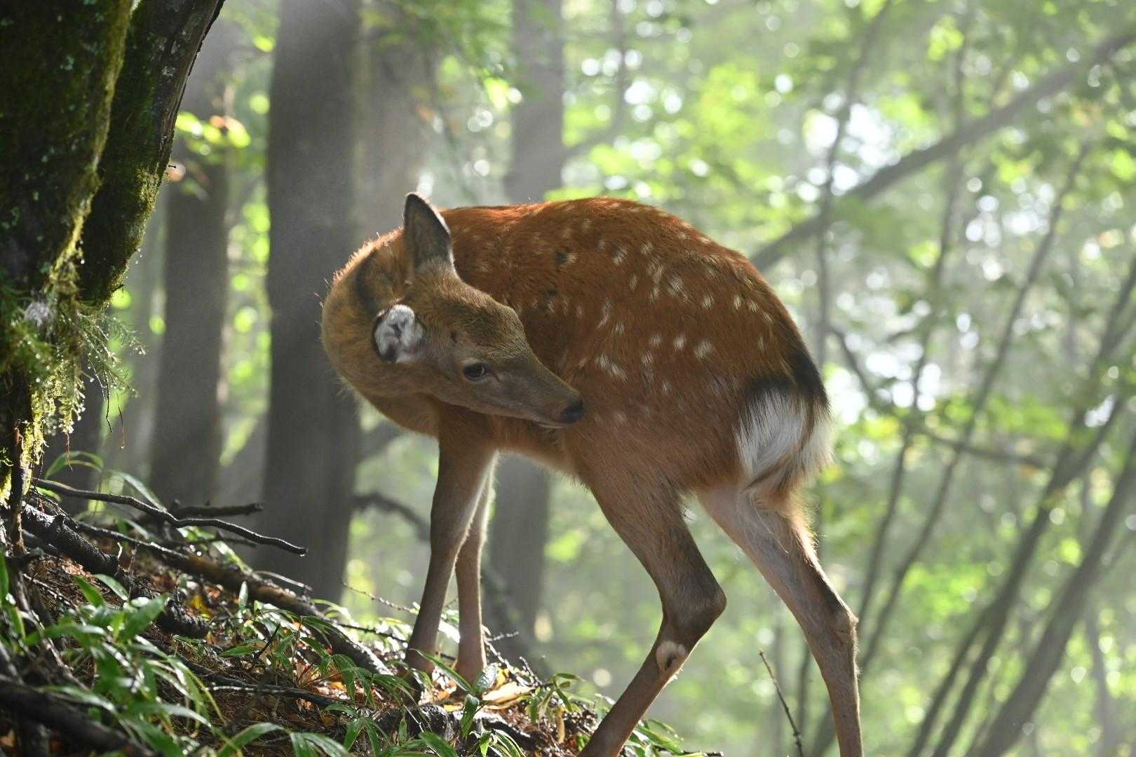 ジッとみ