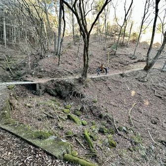 神社方面へ上っていく