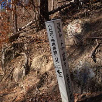 へび岩・奇岩奇勝とある