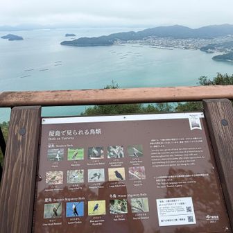東側の魚見台から庵治の港を見遣る…右手の小さな入江は平家の『舟隠し』