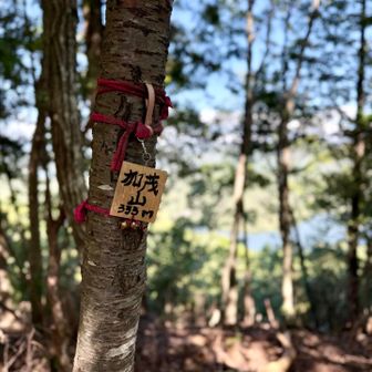 加茂山山頂