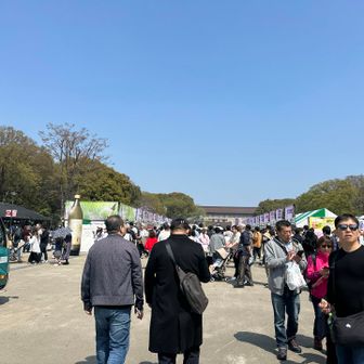 お店がたくさん出ていてそこらじゅう良い匂い〜🤤🍖
屋台の焼きそば食べたくなってきた🤤