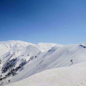 クリーミーな月山😍