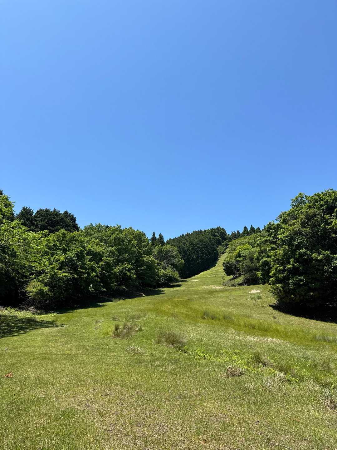 🦌🦌が逃げてった〜