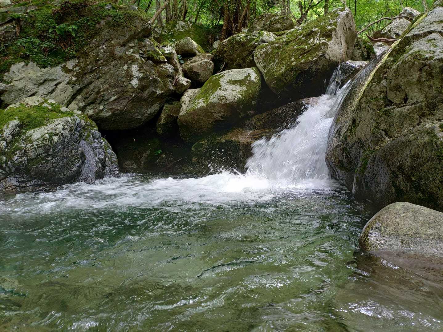 坊村バス停-白滝山 往復コースの写真