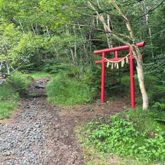 再度登山道へ