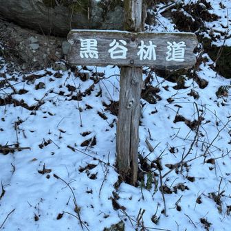 これも登山口にあり下山時に撮影