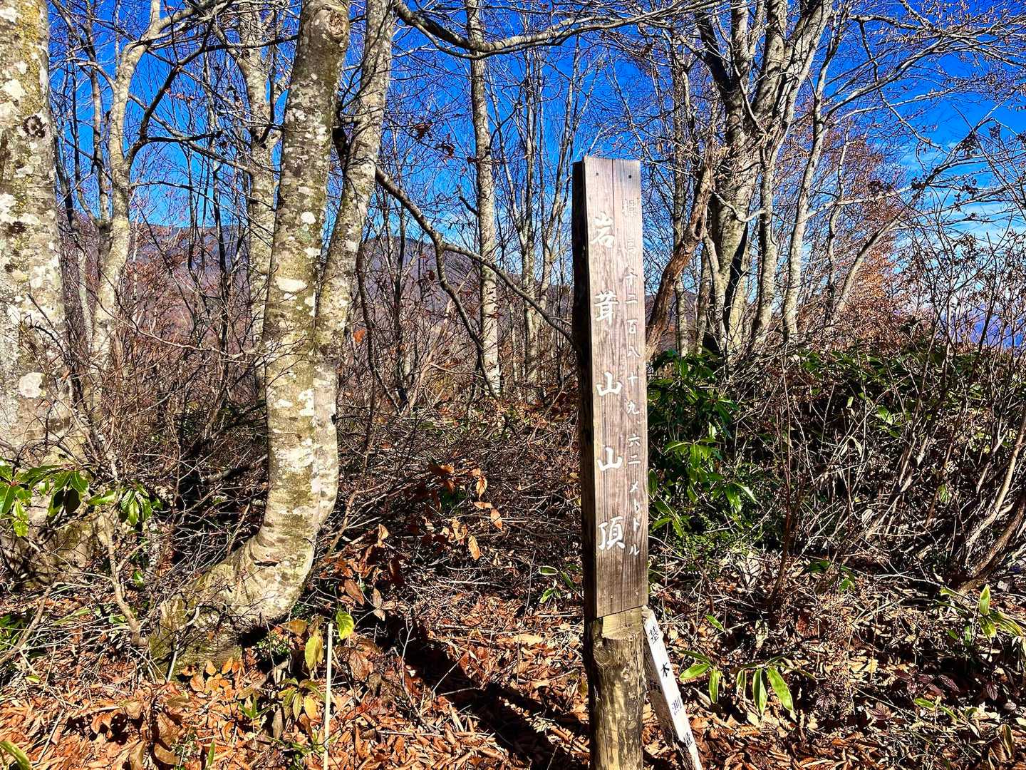 白馬岩岳マウンテンリゾートバス停-岩蕈山 縦走コースの写真