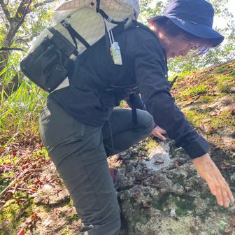 坊主岩から滑落中の母
