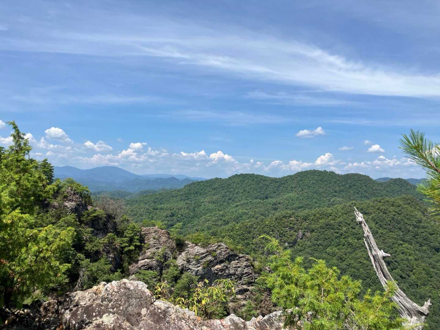 高木山 周回コースの写真