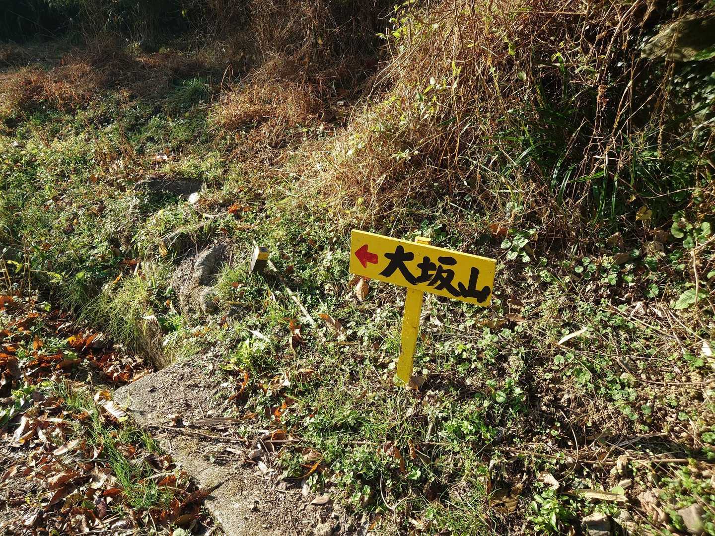 黄色い案内板もあります。