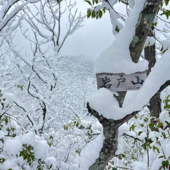 岩戸山🗻