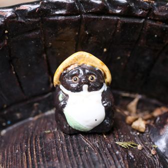 孫タヌキ