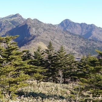 振り返ってばっかり🙃