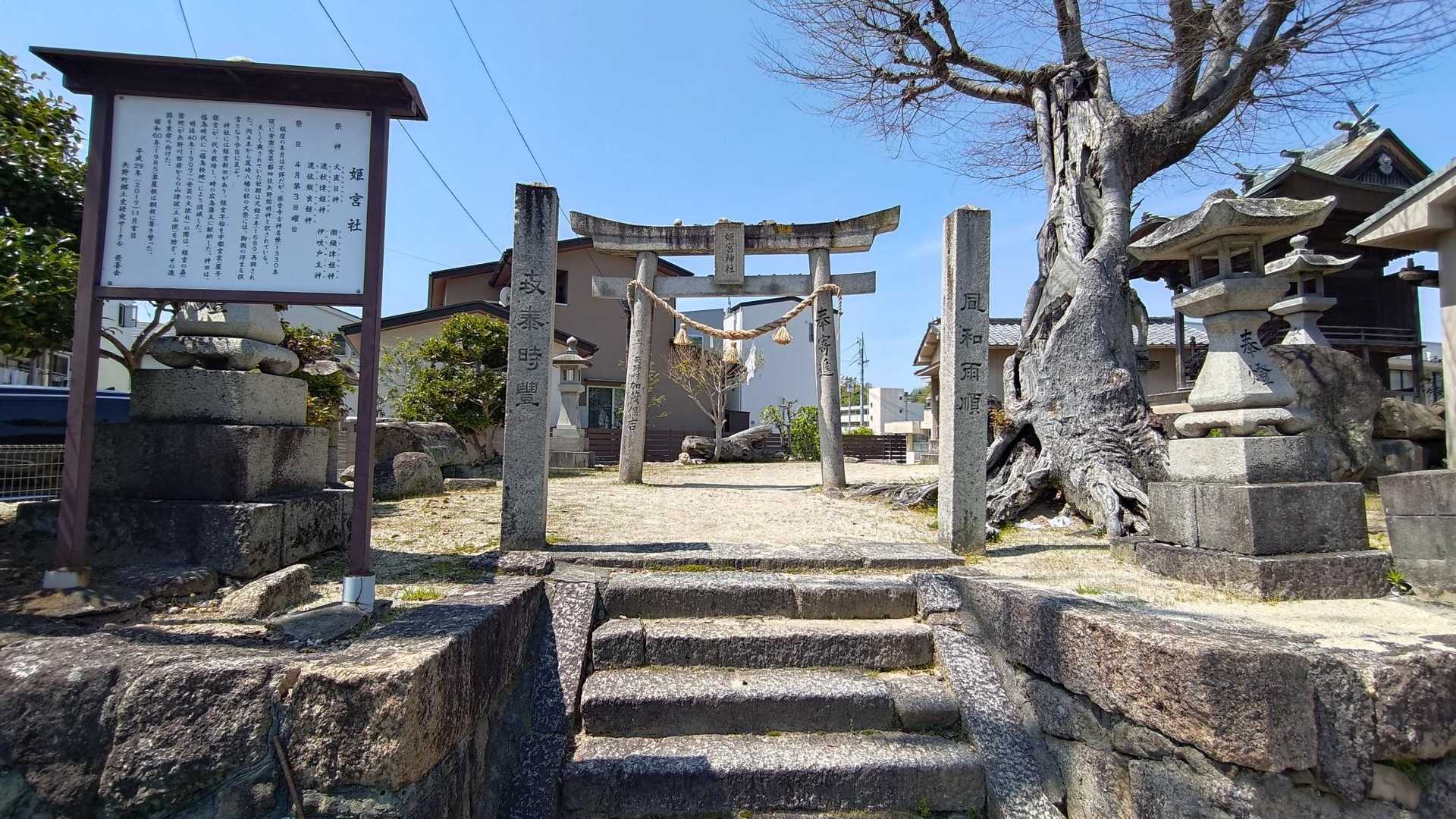 道中、姫宮神社。
右手にでかい木…。