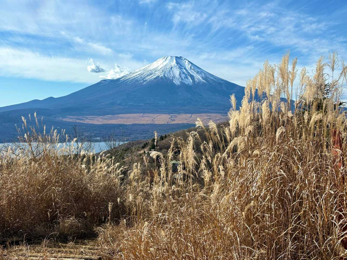 平尾山