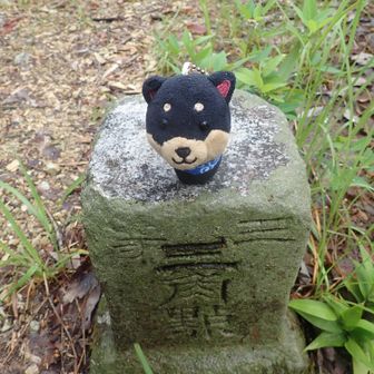 風がなく安定
ここも山頂プレート無し