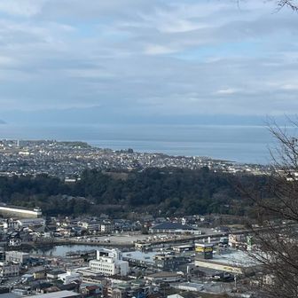 正面の森の上に彦根城