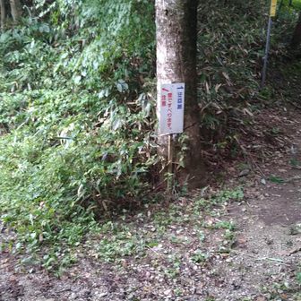 分岐？
右；迂回コース　
左；雪ですべります。注意　？？
そうだった、ここは日本で１番山開きの早い(元旦)お山だった。冬場の凍結や積雪のことだネ