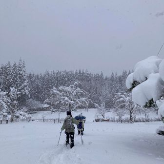 駐車場が見えました。