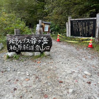 スタートです